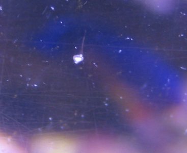unknown2.jpg