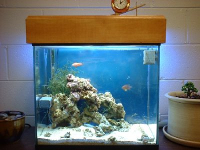 small 15g with new lighting.jpg