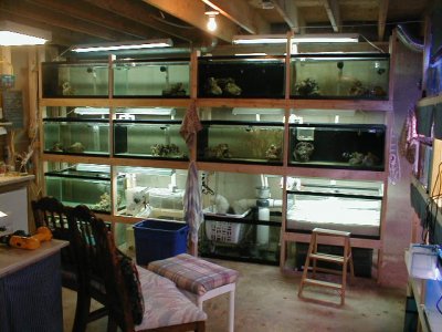 fishrack2.jpg