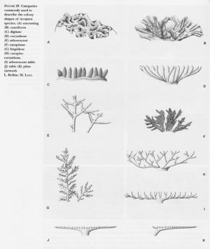 growth-forms.jpg