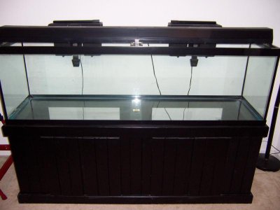 100_1124.jpg