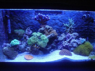 tank 11 12 09.jpg
