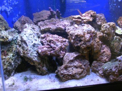 DSCN2341 (400 x 300).jpg