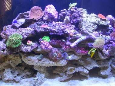 DSCN2344 (380 x 285).jpg