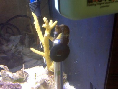 IMG00212.jpg