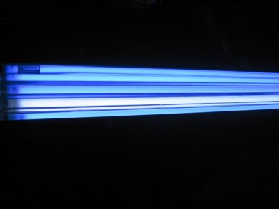 light 003.jpg