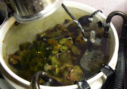 Reeftank 003.jpg