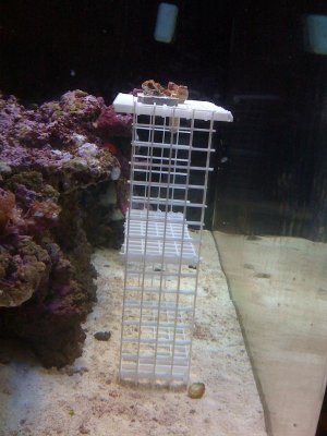 frag rack 013.jpg