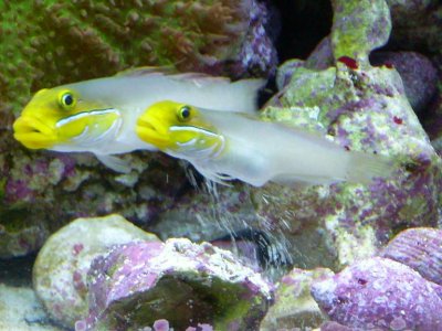 12-26-09-1 045-2.JPG