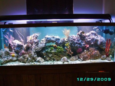 PICT0182.jpg