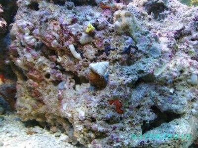 PICT0138.jpg