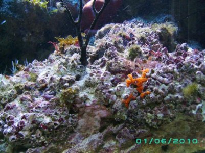 PICT0135.jpg