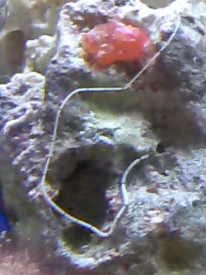 CAM00074.jpg