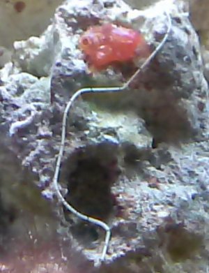 CAM00075.jpg