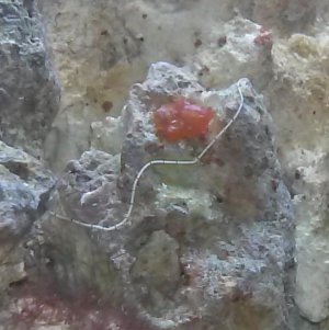 CAM00079.jpg