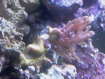 090612154154.jpg