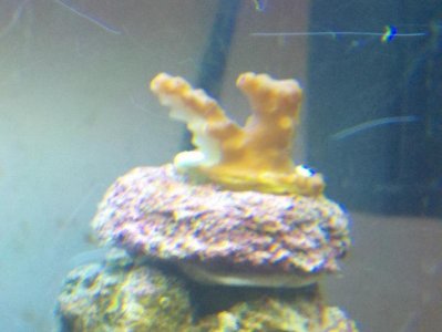 2012-09-06_18-16-49_785.jpg