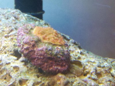 2012-09-06_18-17-05_474.jpg