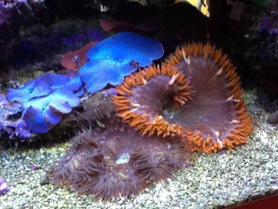 pics from ipad 1088.jpg