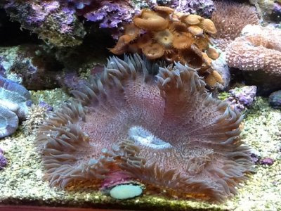 pics from ipad 1091.jpg