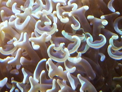 20120906_190249.jpg