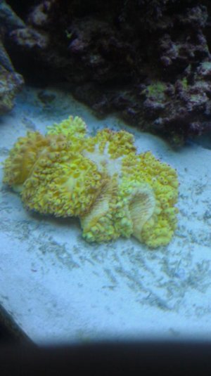 IMAG0108.jpg