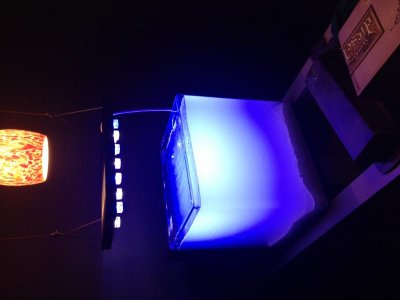 photo 5.jpg