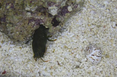 IMG_9980.jpg