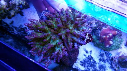 rainbows in spain.jpg