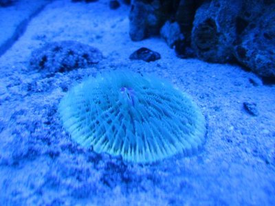 IMG_0477.jpg