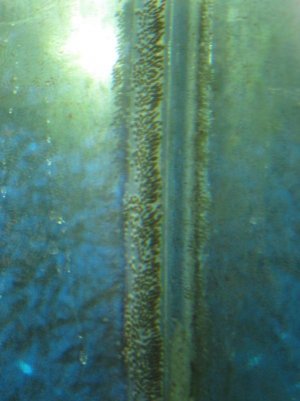 IMG_0133.jpg