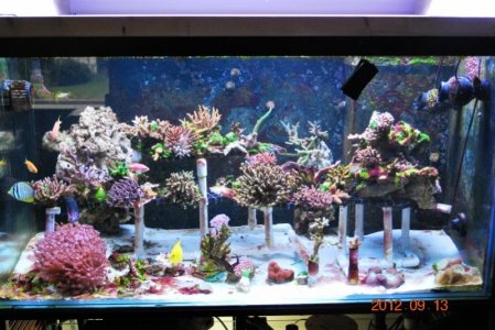 newatilights 010 (800x536).jpg