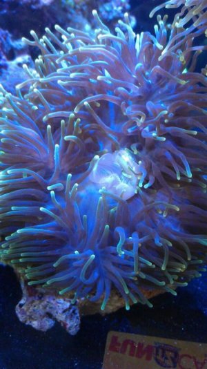 uploadfromtaptalk1347830382502.jpg uploadfromtaptalk1347830382502.jpg