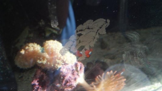 2012-09-16_09-01-53_965.jpg