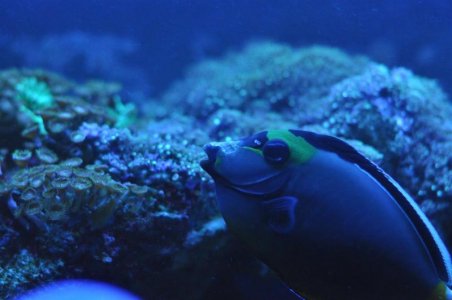 DSC_9182 (Custom).jpg