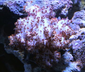 IMG_3821.jpg
