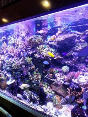 new phone 295 (600x800).jpg