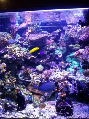 new phone 294 (600x800).jpg