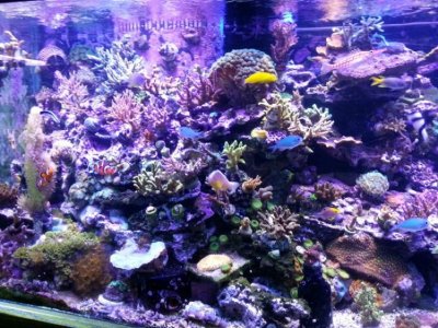 new phone 278 (800x600).jpg