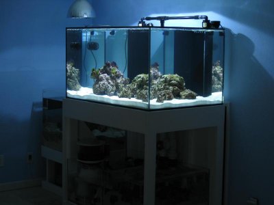 IMG_1552.jpg IMG_1552.jpg