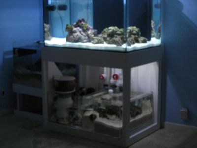 IMG_1562.jpg IMG_1562.jpg