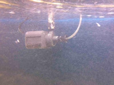 ImageUploadedByTapatalk1349495044.141408.jpg ImageUploadedByTapatalk1349495044.141408.jpg