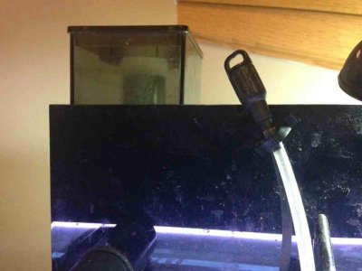 ImageUploadedByTapatalk1349495079.191232.jpg ImageUploadedByTapatalk1349495079.191232.jpg