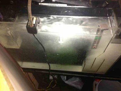 ImageUploadedByTapatalk1349495266.191172.jpg ImageUploadedByTapatalk1349495266.191172.jpg