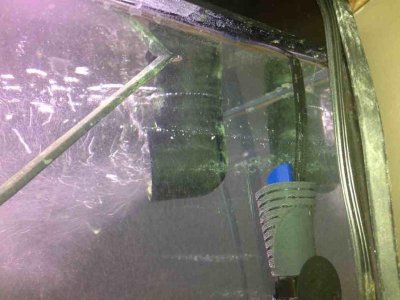 ImageUploadedByTapatalk1349495284.407088.jpg ImageUploadedByTapatalk1349495284.407088.jpg