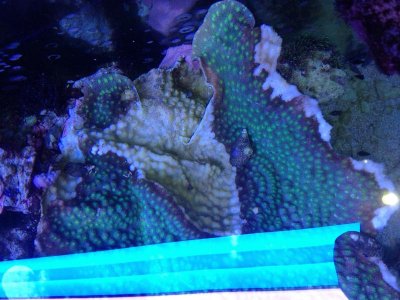 photo.jpg