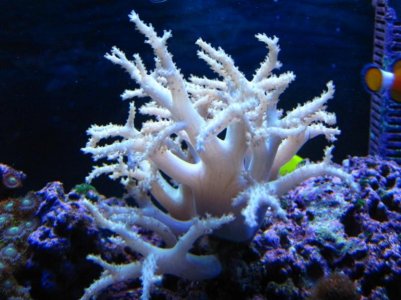 IMG_1580.jpg