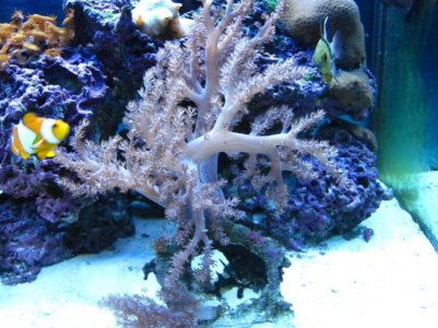 IMG_1582.jpg