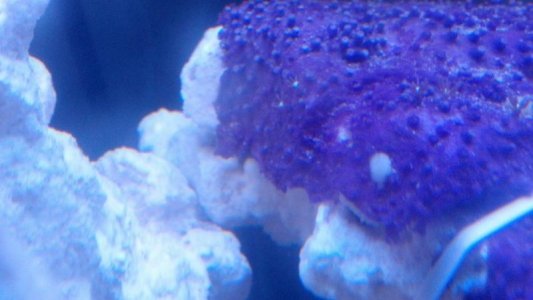 2012-09-19_20-51-14_967.jpg
