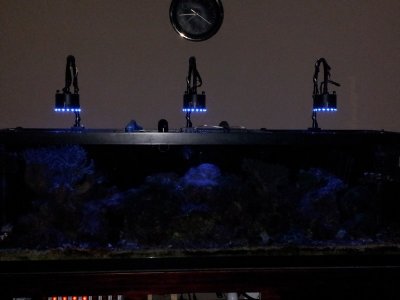 mini-20120919_194217.jpg